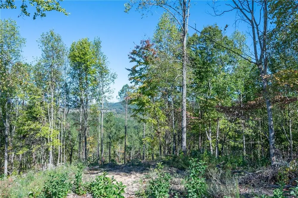 3879 HWY 140 NE Rydal, GA 30171