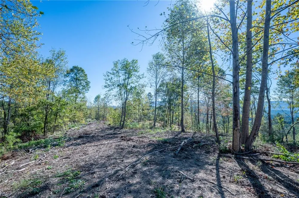 3879 HWY 140 NE Rydal, GA 30171