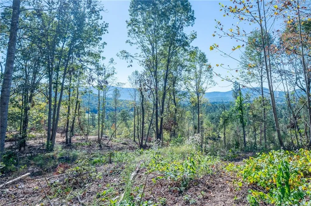 3879 HWY 140 NE Rydal, GA 30171