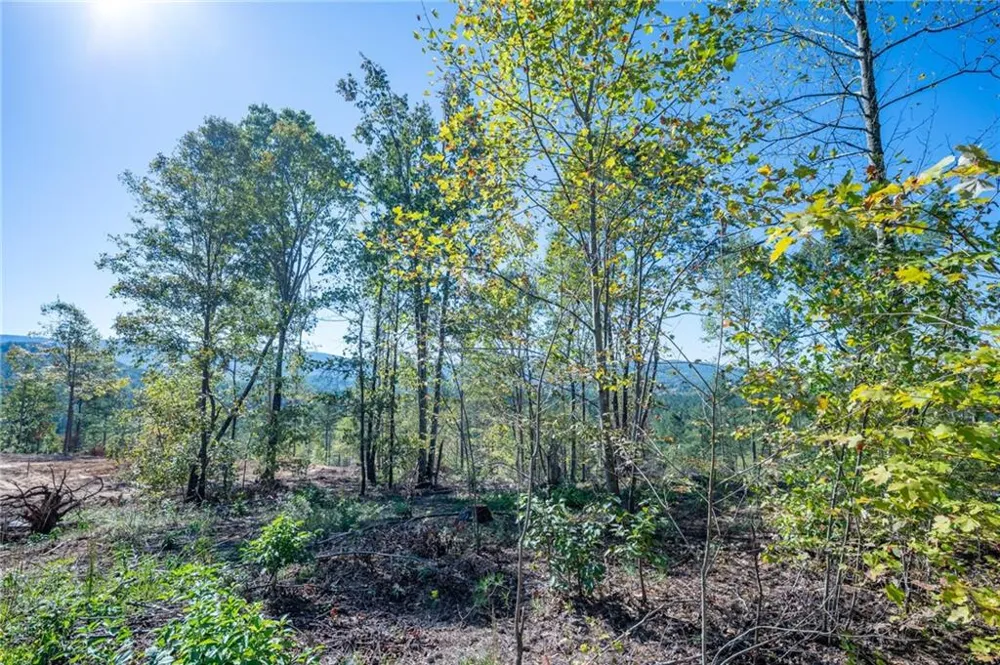3879 HWY 140 NE Rydal, GA 30171