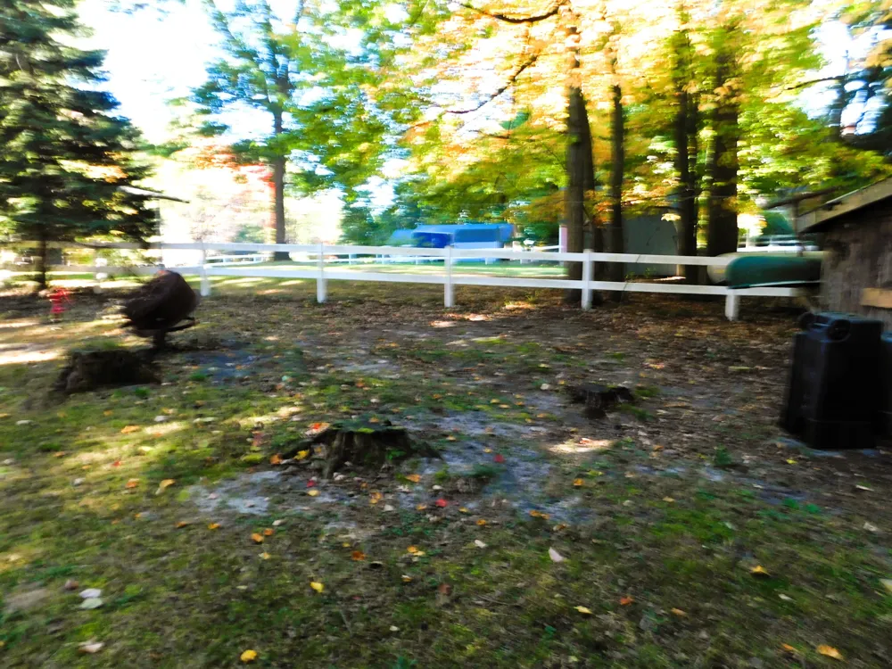 3498 Balsam Road Manistee, MI 49660