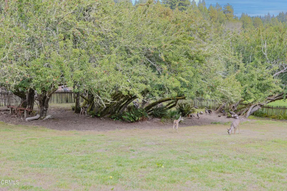 31600 Little Valley Road Fort Bragg, CA 95437