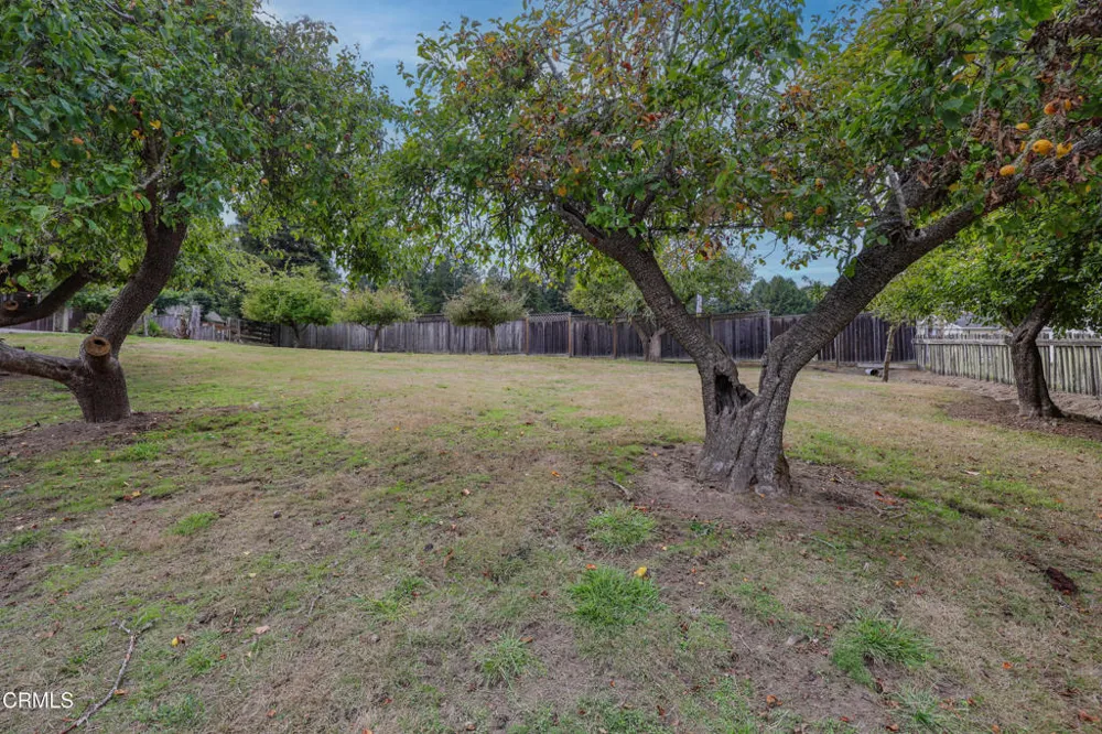 31600 Little Valley Road Fort Bragg, CA 95437