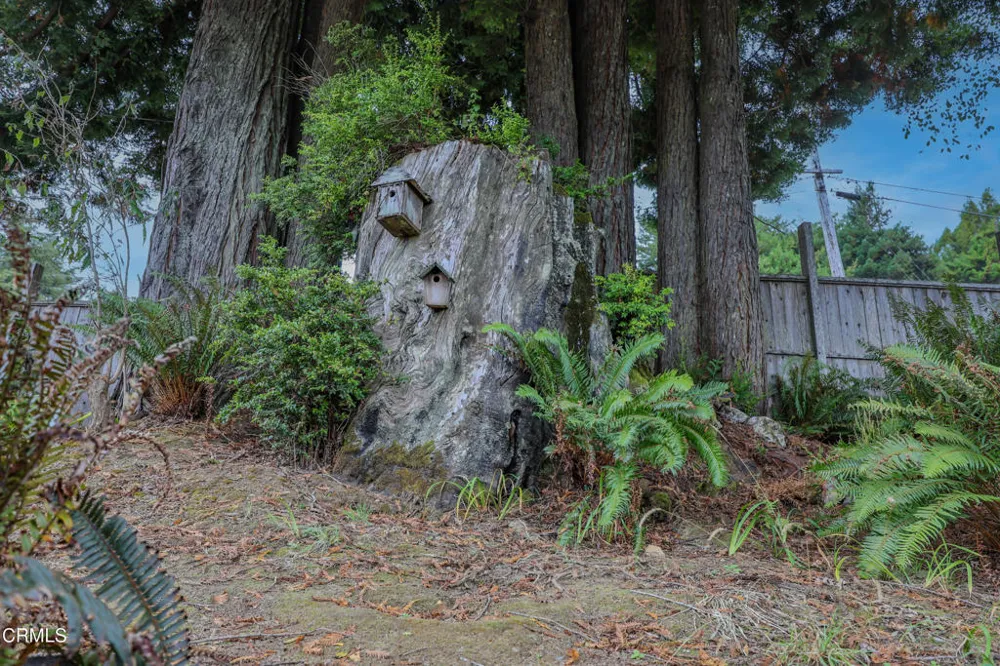 31600 Little Valley Road Fort Bragg, CA 95437