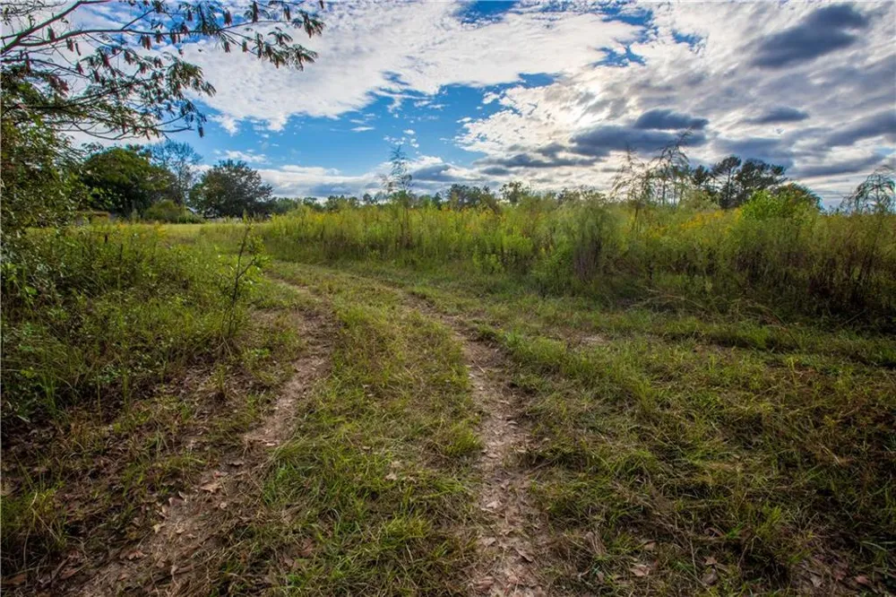 284 Barrett Road Sparks, GA 31647