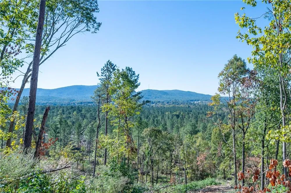 3875 HWY 140 NE Rydal, GA 30171