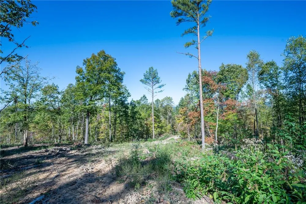 3875 HWY 140 NE Rydal, GA 30171