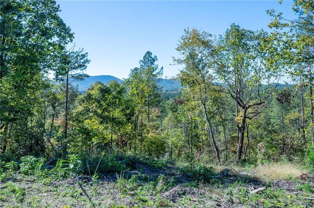 3875 HWY 140 NE Rydal, GA 30171