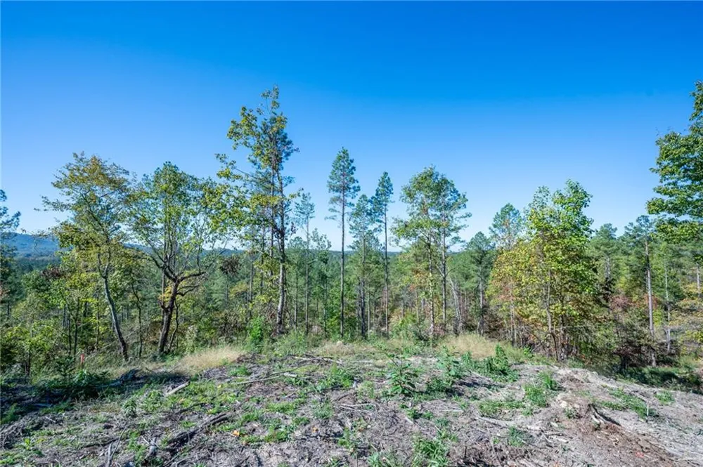 3875 HWY 140 NE Rydal, GA 30171