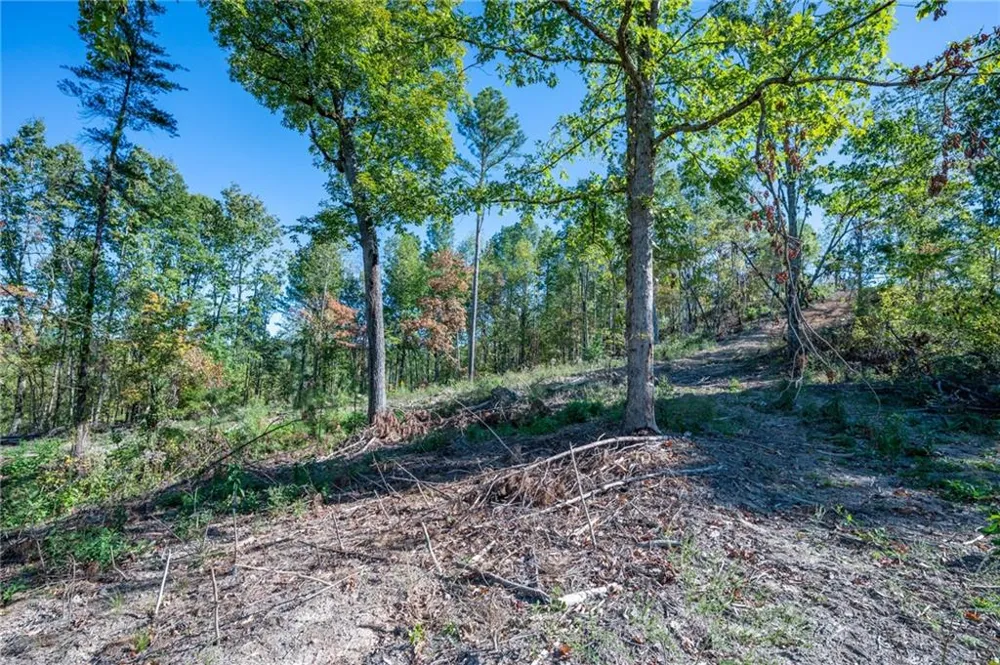 3875 HWY 140 NE Rydal, GA 30171