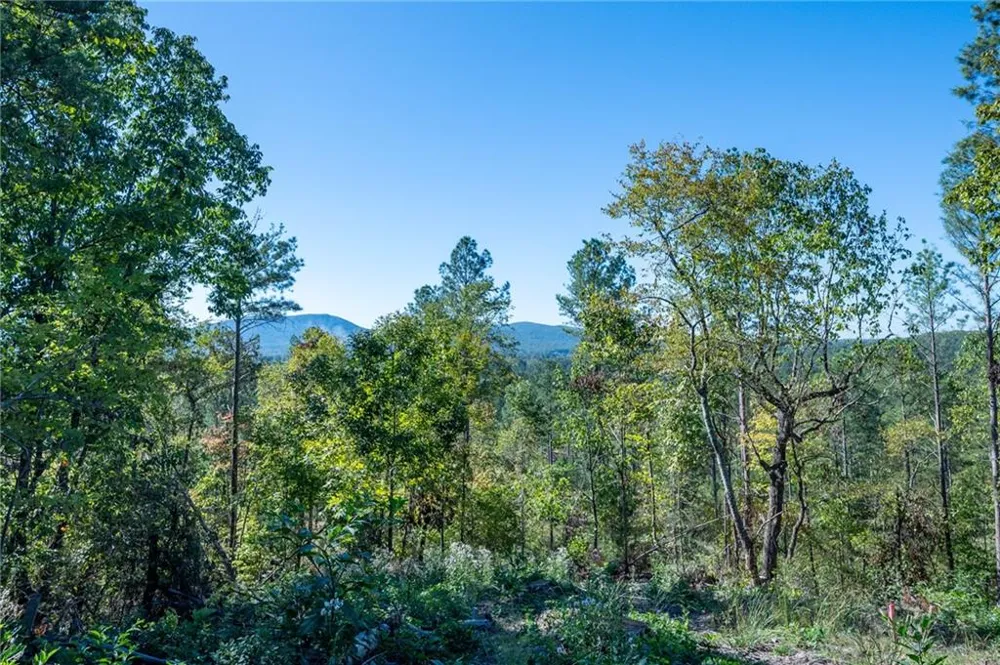 3875 HWY 140 NE Rydal, GA 30171