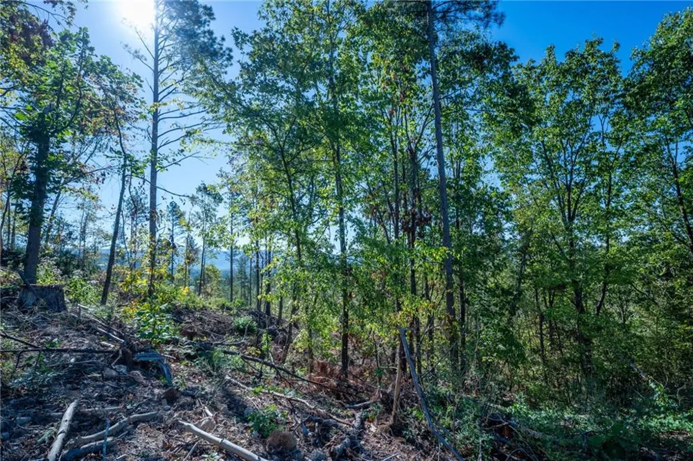3875 HWY 140 NE Rydal, GA 30171