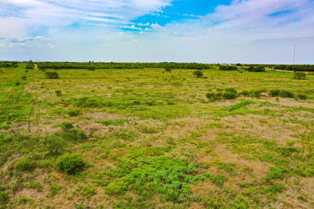 12 199 Highway Jacksboro, TX 76458