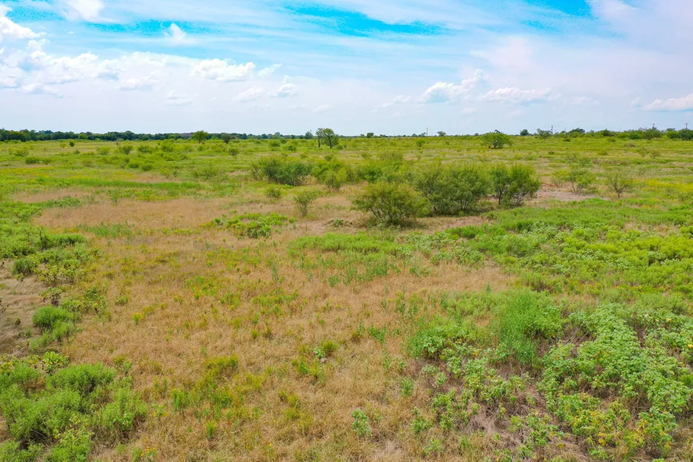 12 199 Highway Jacksboro, TX 76458