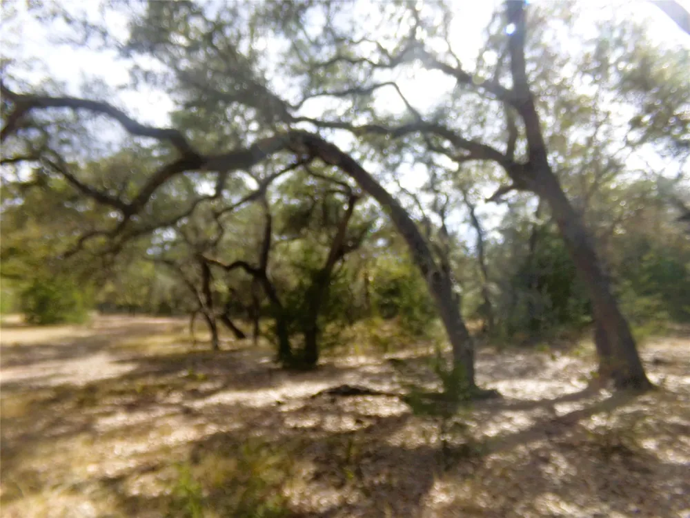 1567 Cr 123f Hallettsville, TX 77964