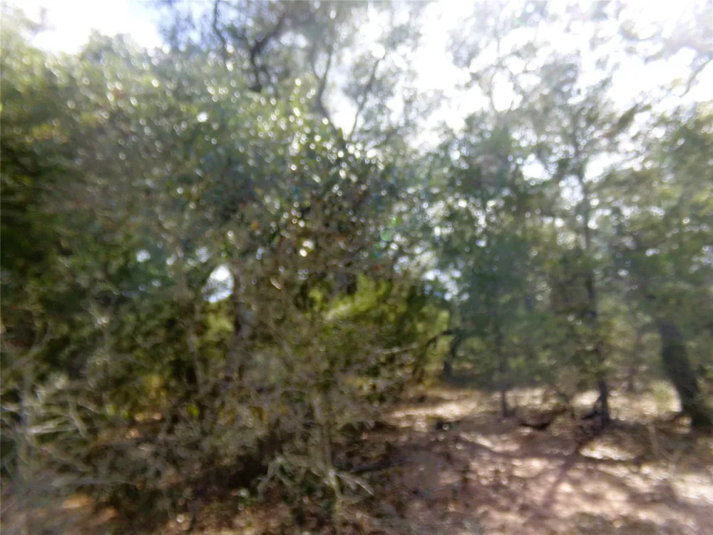 1567 Cr 123f Hallettsville, TX 77964