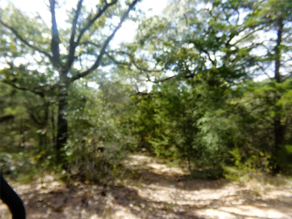 1567 Cr 123f Hallettsville, TX 77964