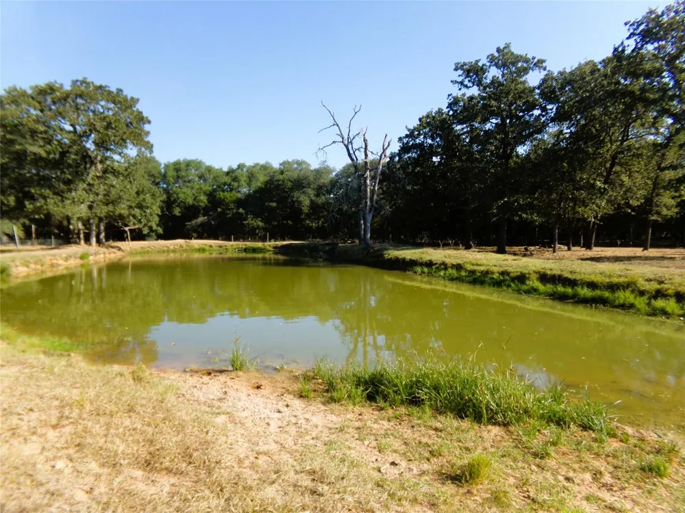 1567 Cr 123f Hallettsville, TX 77964