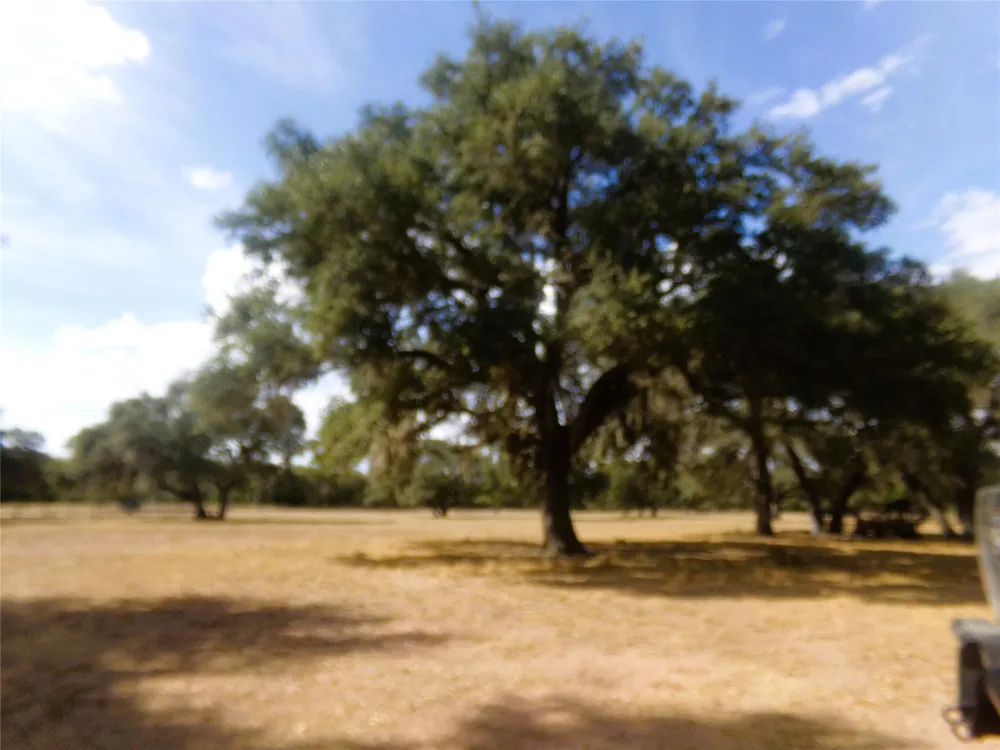 1567 Cr 123f Hallettsville, TX 77964