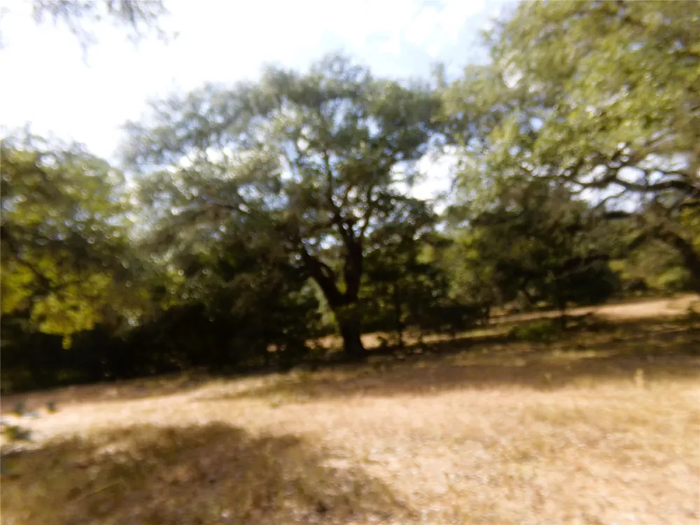 1567 Cr 123f Hallettsville, TX 77964