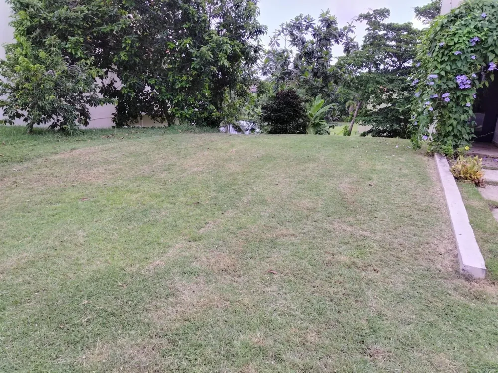 145 MONTECARLO Humacao, PR 00791