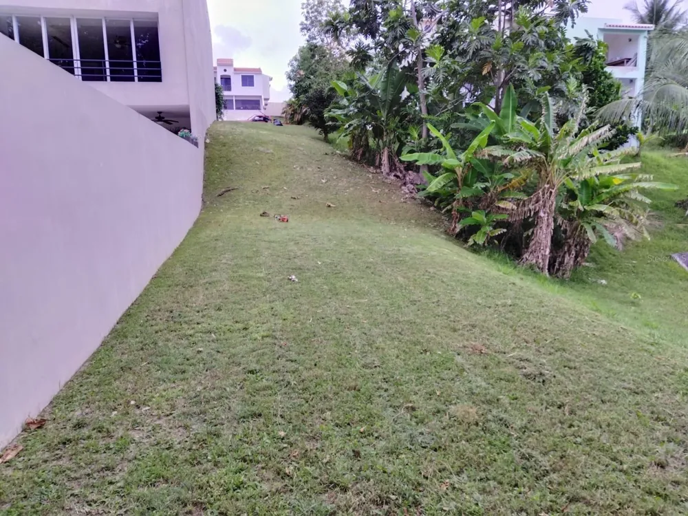 145 MONTECARLO Humacao, PR 00791