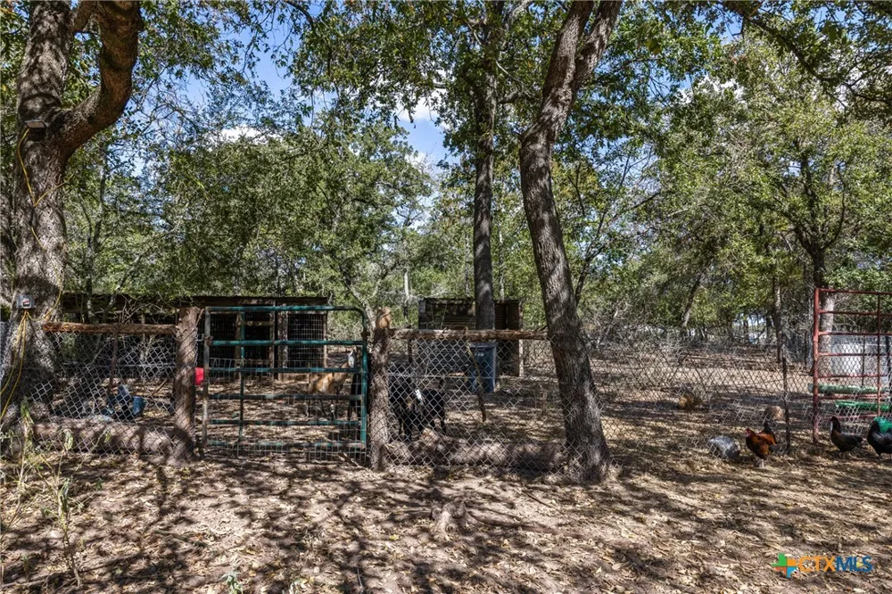 2135 Mule Creek Road Harwood, TX 78632