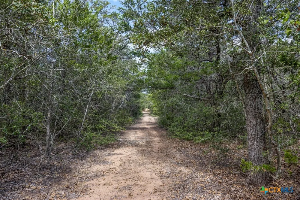 2135 Mule Creek Road Harwood, TX 78632