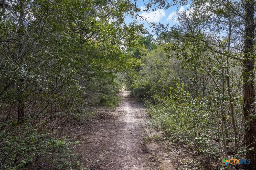 2135 Mule Creek Road Harwood, TX 78632