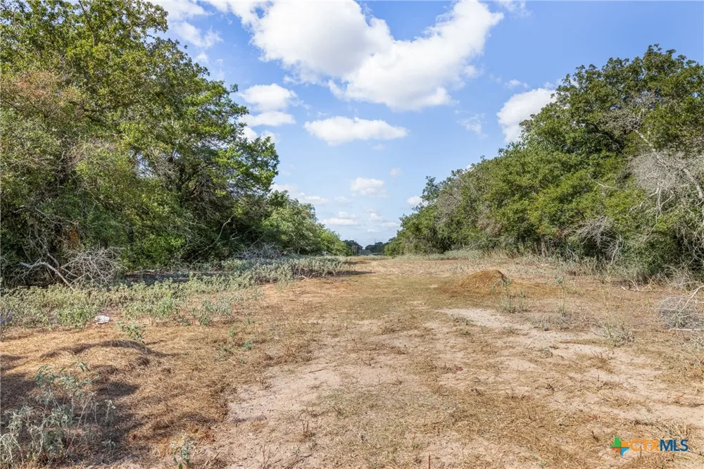 2135 Mule Creek Road Harwood, TX 78632