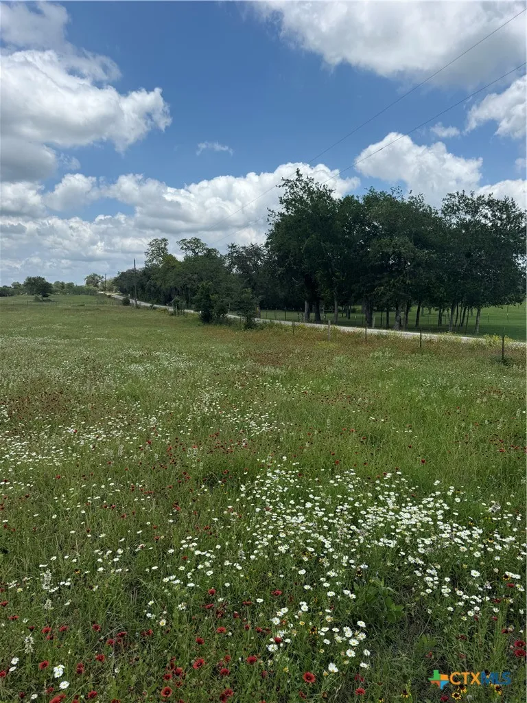 2135 Mule Creek Road Harwood, TX 78632