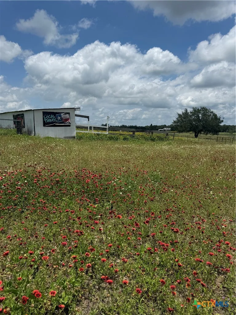 2135 Mule Creek Road Harwood, TX 78632