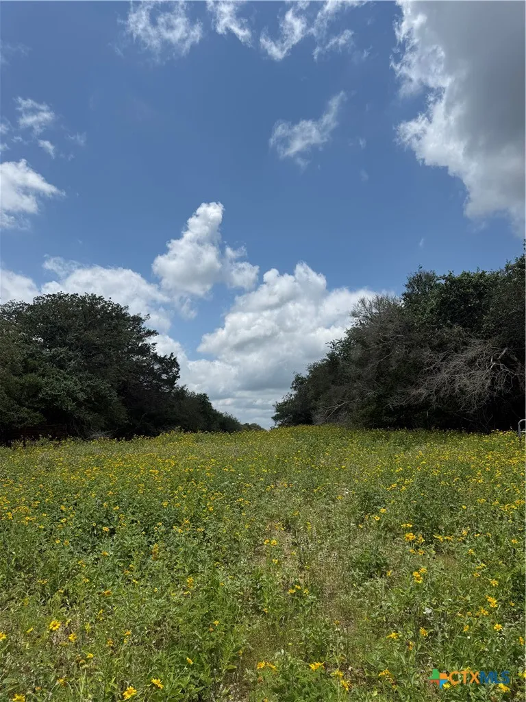 2135 Mule Creek Road Harwood, TX 78632