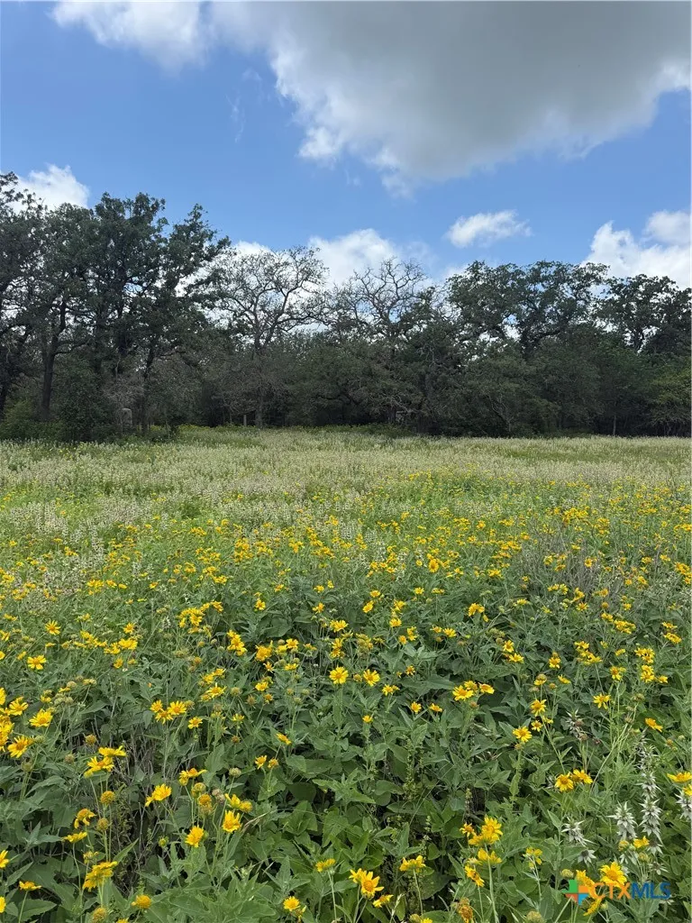 2135 Mule Creek Road Harwood, TX 78632