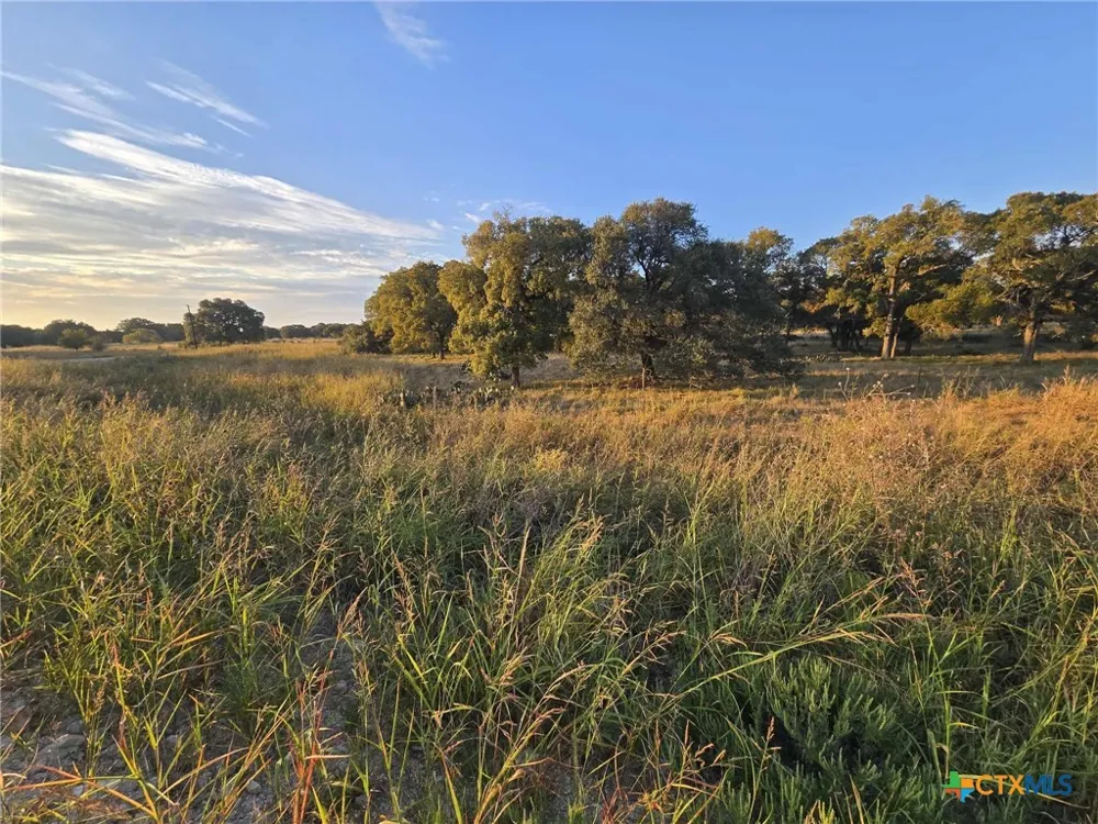 317 Yellowstone Drive Oglesby, TX 76561
