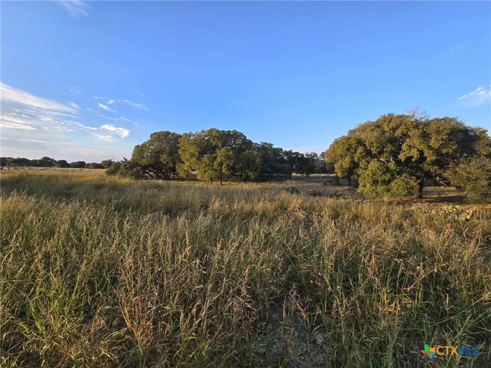 317 Yellowstone Drive Oglesby, TX 76561