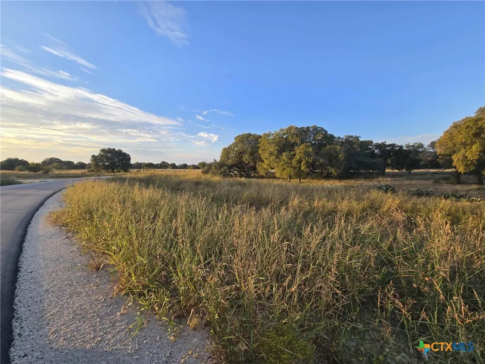 317 Yellowstone Drive Oglesby, TX 76561