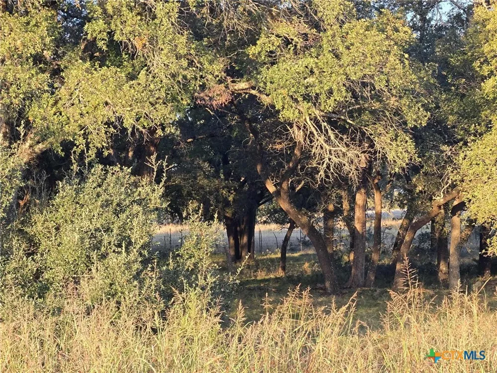 317 Yellowstone Drive Oglesby, TX 76561