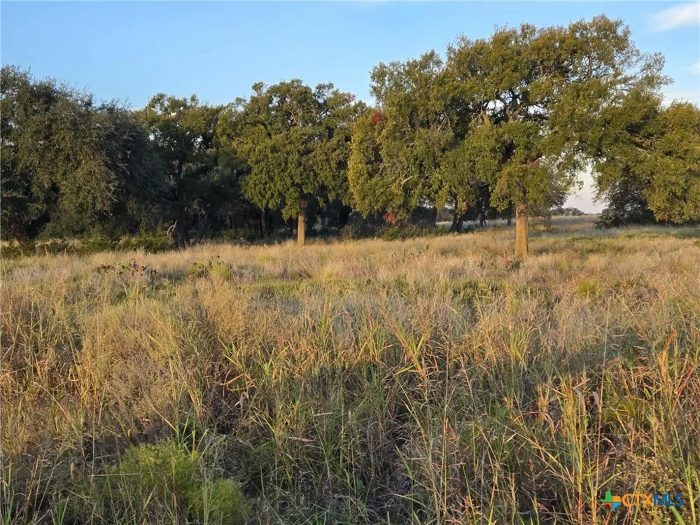 317 Yellowstone Drive Oglesby, TX 76561