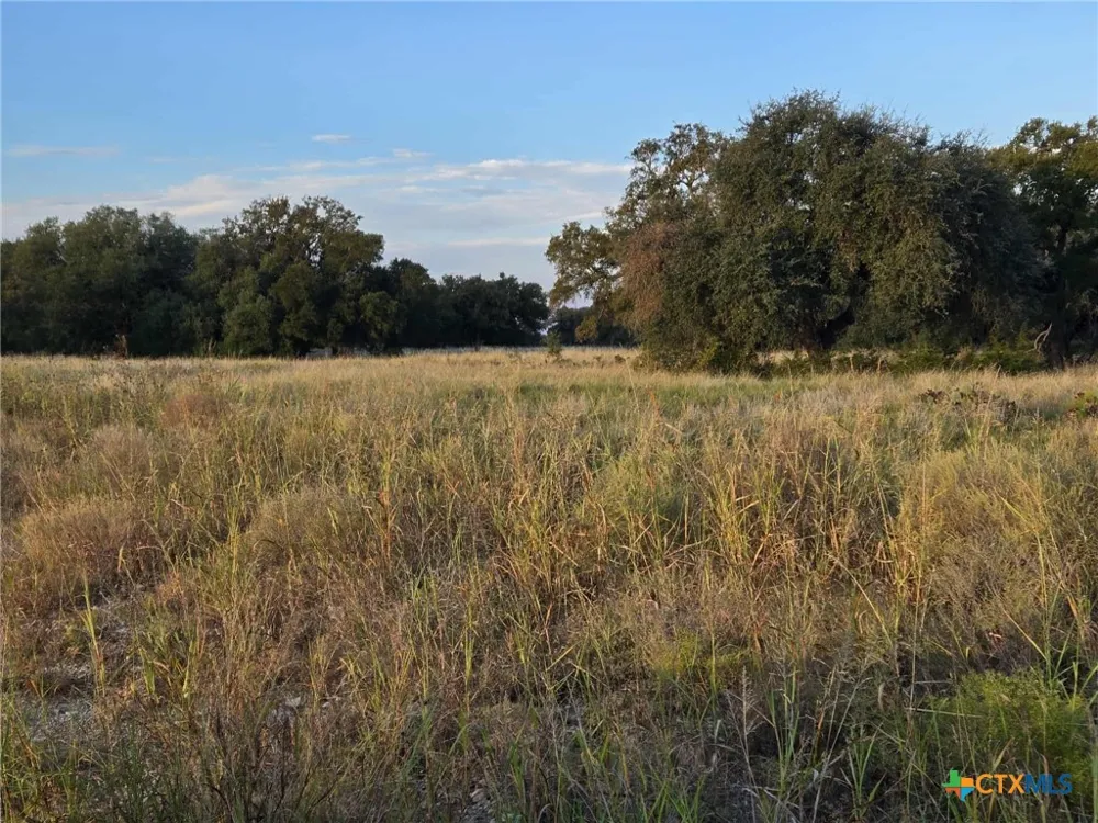317 Yellowstone Drive Oglesby, TX 76561