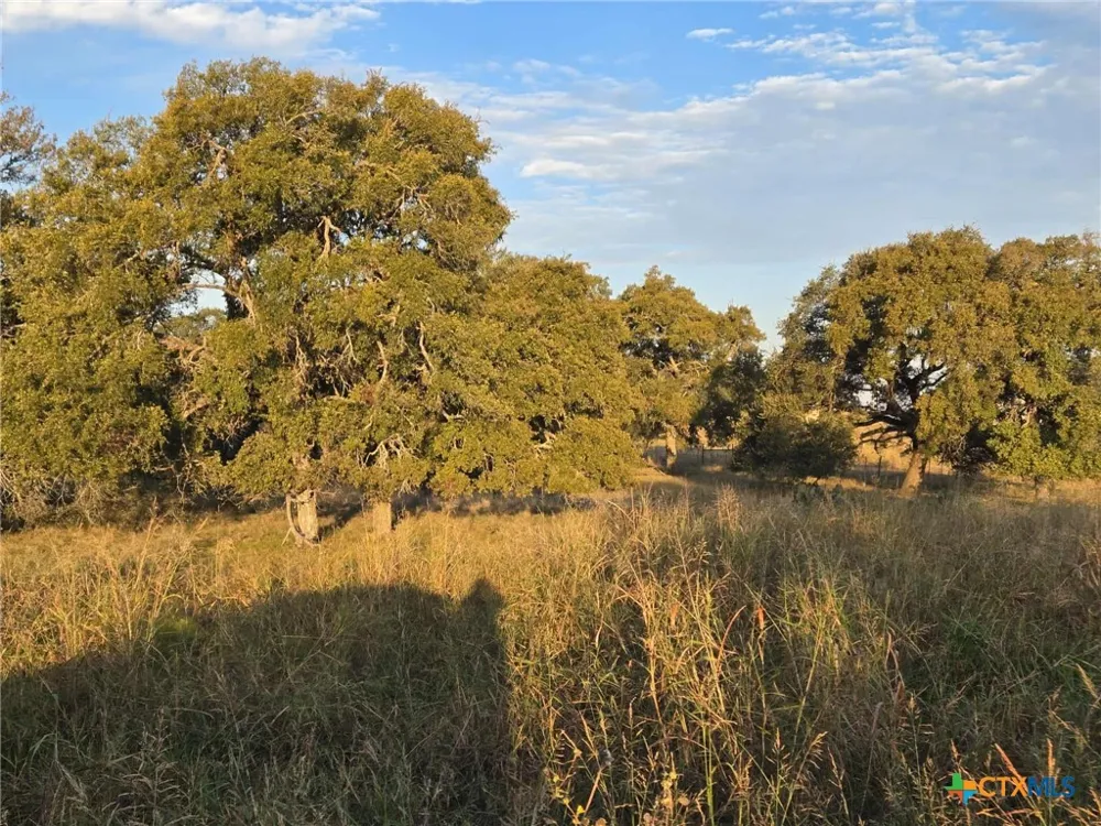 317 Yellowstone Drive Oglesby, TX 76561