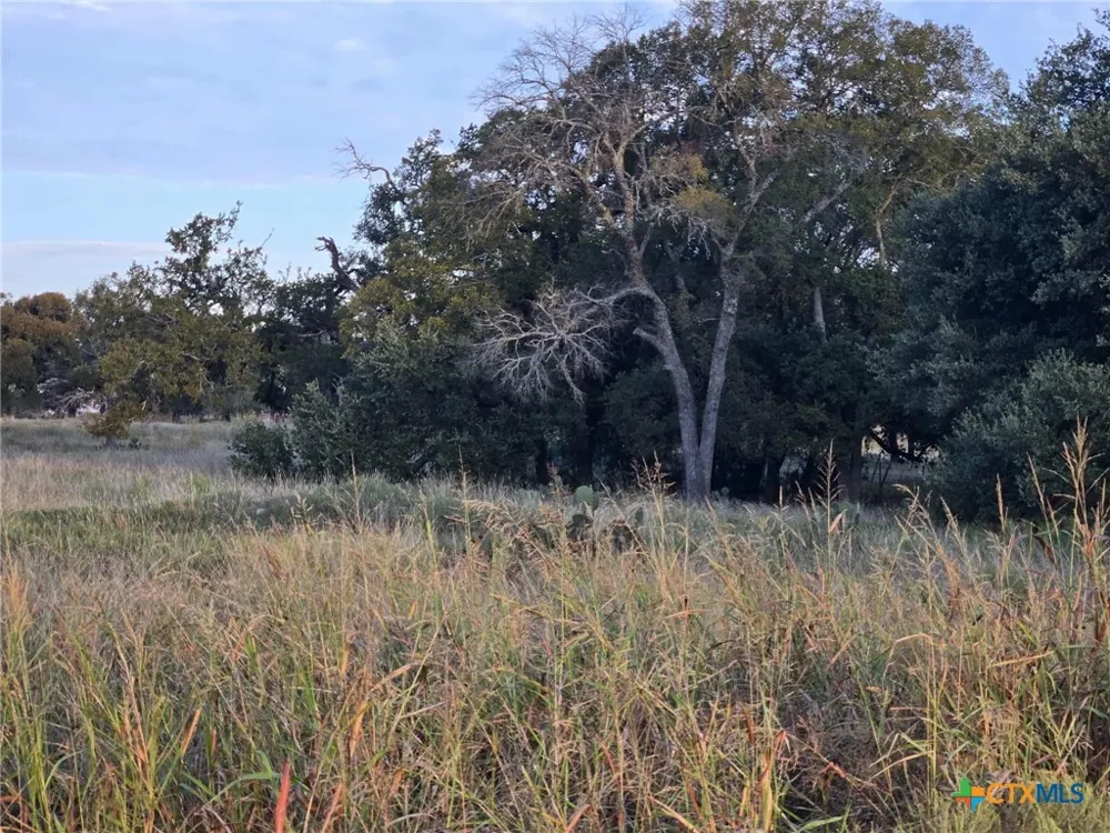 317 Yellowstone Drive Oglesby, TX 76561