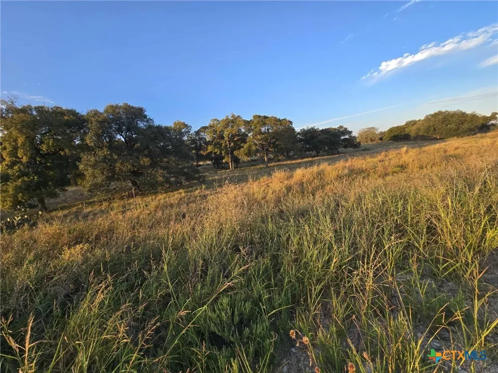 317 Yellowstone Drive Oglesby, TX 76561