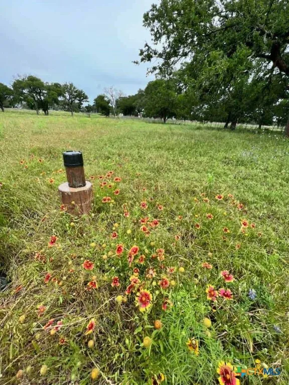317 Yellowstone Drive Oglesby, TX 76561