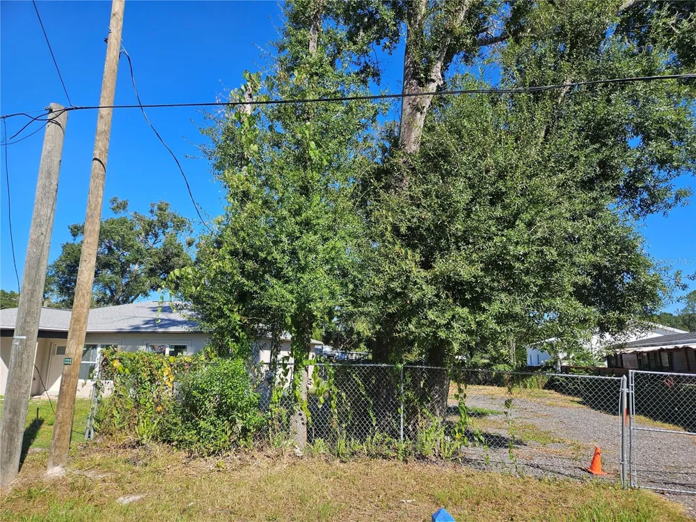12321 CAMBRIDGE AVENUE Tampa, FL 33624