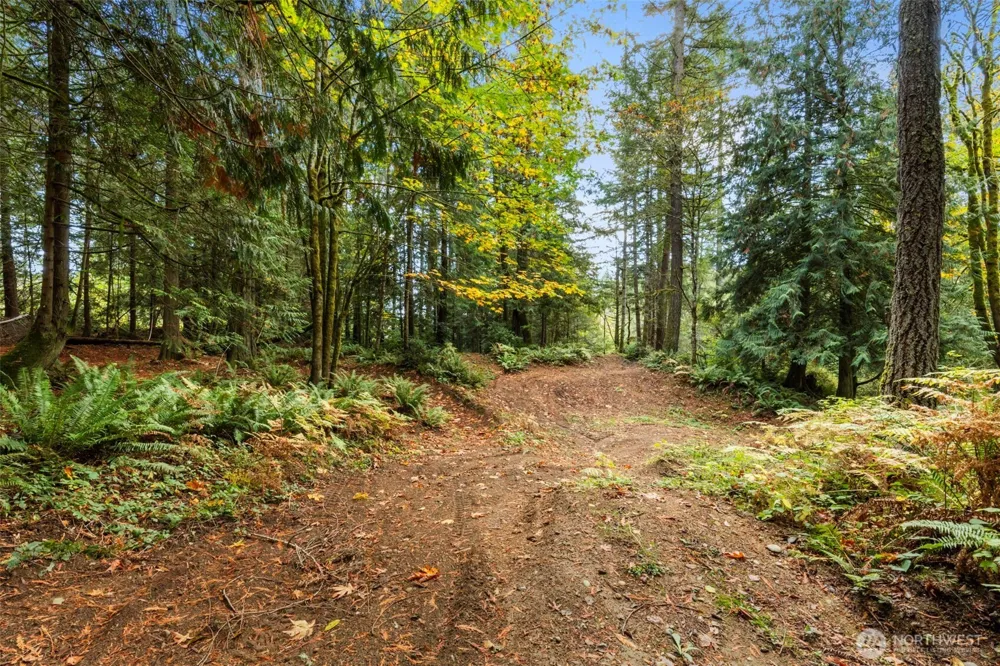7698 Westerly Lane NE Bainbridge Island, WA 98110