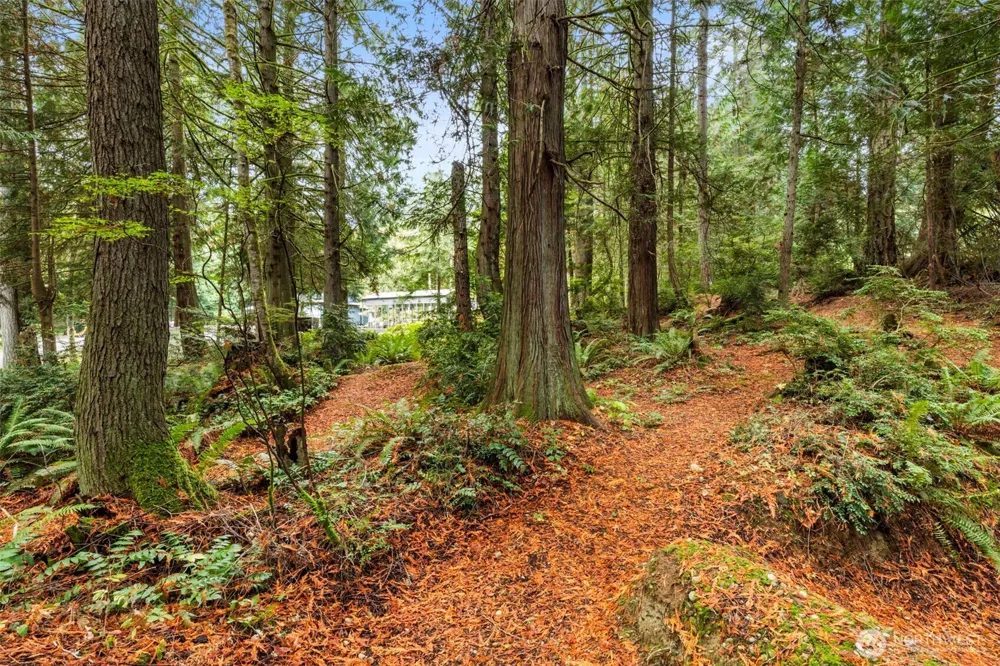 7698 Westerly Lane NE Bainbridge Island, WA 98110