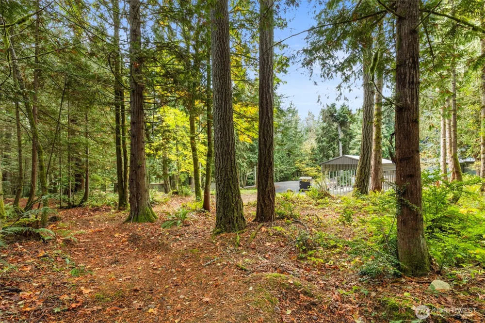 7698 Westerly Lane NE Bainbridge Island, WA 98110