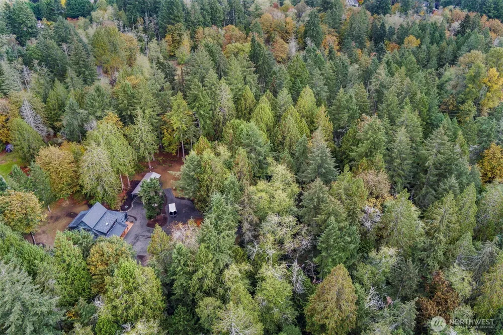 7698 Westerly Lane NE Bainbridge Island, WA 98110