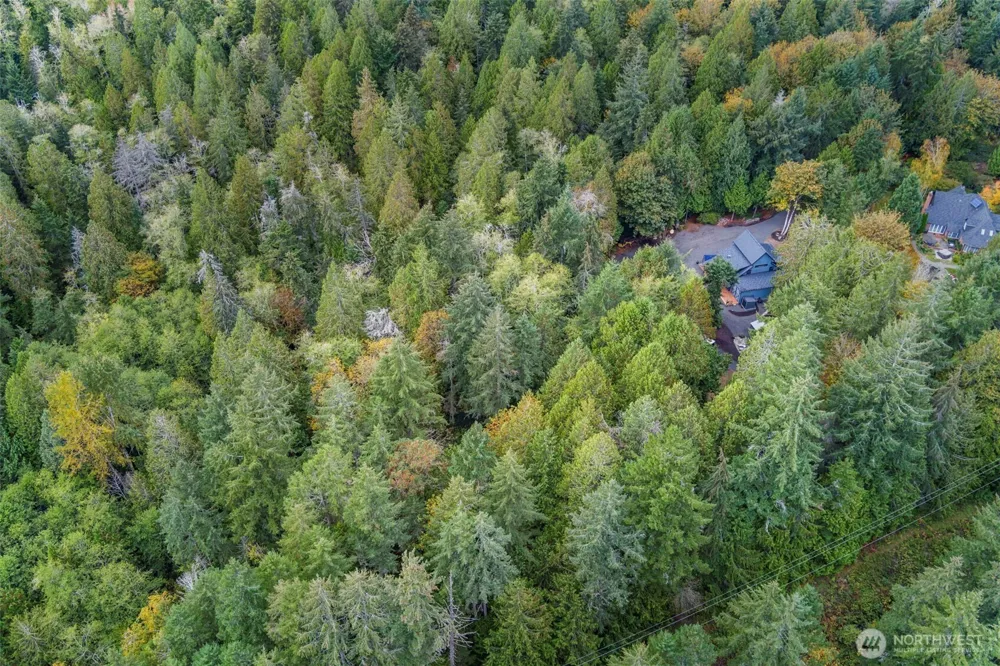 7698 Westerly Lane NE Bainbridge Island, WA 98110
